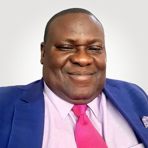 Donatus Onoja - Nigeria Subsidiary Director & West African Market Sales at Victoria Technology & Consulting