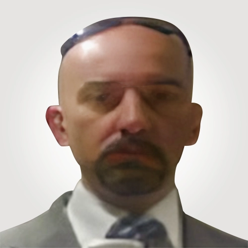 Gianluca Bariona - Business Development at Victoria Technology & Consulting